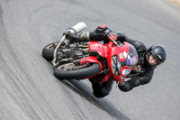 enduro-digital-images;event-digital-images;eventdigitalimages;lydden-hill;lydden-no-limits-trackday;lydden-photographs;lydden-trackday-photographs;no-limits-trackdays;peter-wileman-photography;racing-digital-images;trackday-digital-images;trackday-photos